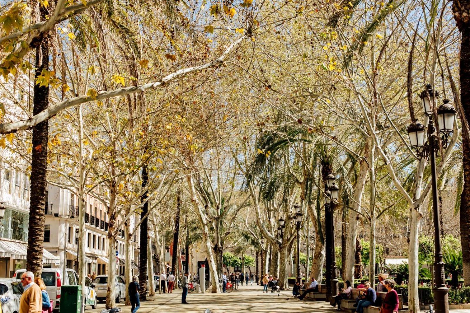 Plaza De La Magdalena I, Sevilla Centro Historico Εξωτερικό φωτογραφία